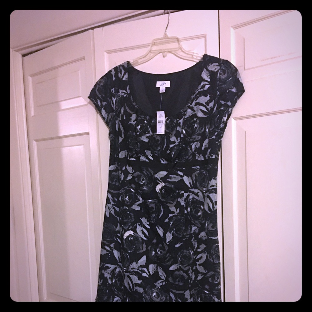 Ann Taylor Loft dress